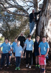 Strathallan 019news